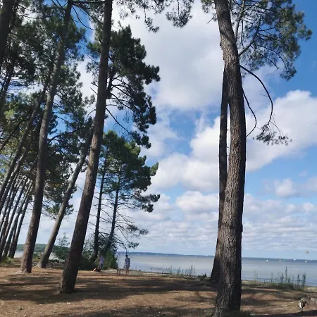 Apartment Au Coeur Du Golf, Proche Du Et Velodyssee Biscarrosse