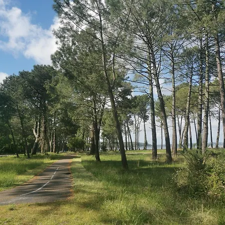 Au Coeur Du Golf, Proche Du Et Velodyssee Apartment *