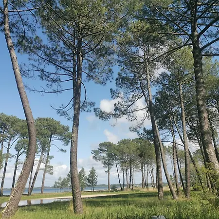 Au Coeur Du Golf, Proche Du Et Velodyssee Apartment *